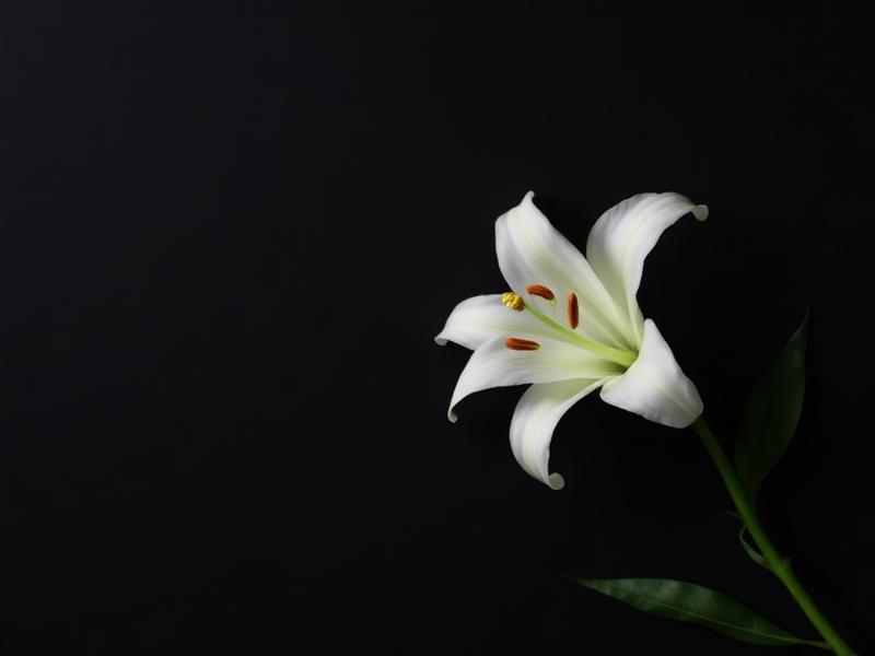 Wrongful Death